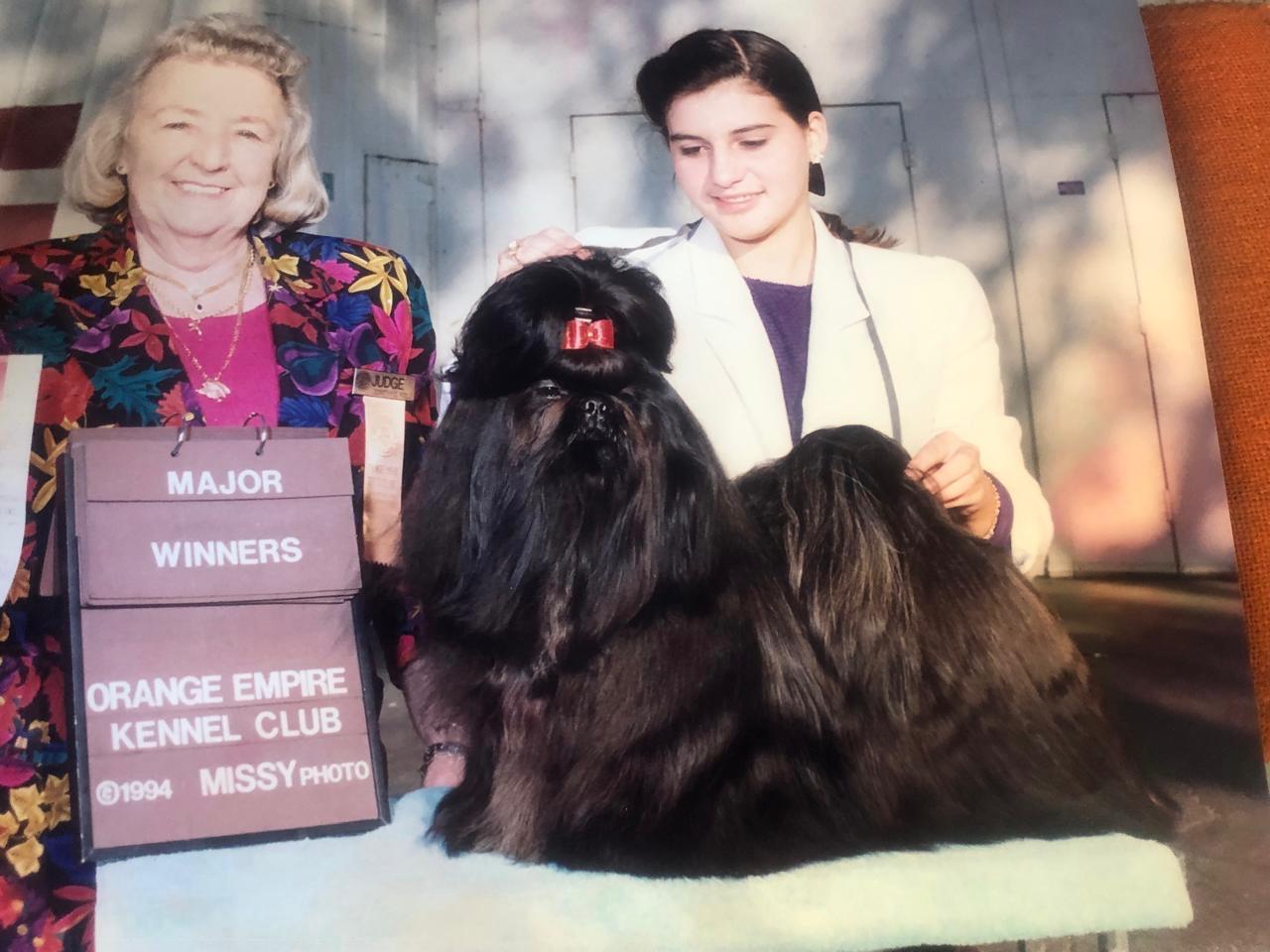 Arquivo histórico da trajectória da Girassol Pets no mundo canino