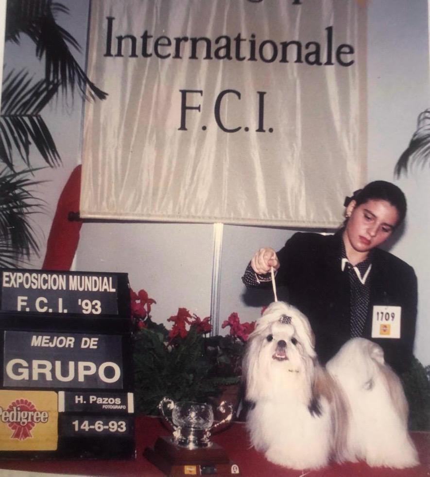 Experiência internacional de Fabiana Perrone em grooming canino profissional
